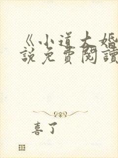 《小道大婚》小说免费阅读