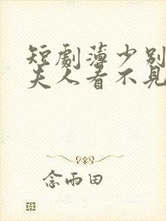 短剧薄少别演了夫人看不见免费观看全集