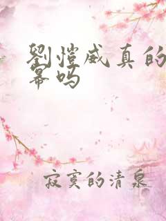 刘恺威真的爱杨幂吗