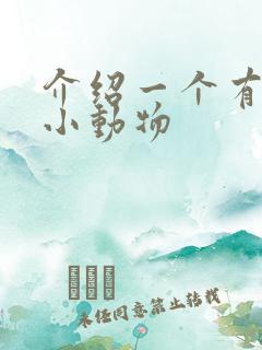 介绍一个有趣的小动物