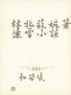 林北苏婉萧晴韩忆雪小说