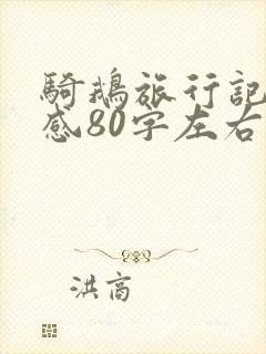 骑鹅旅行记读后感80字左右