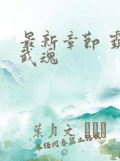 最新章节 霸天武魂