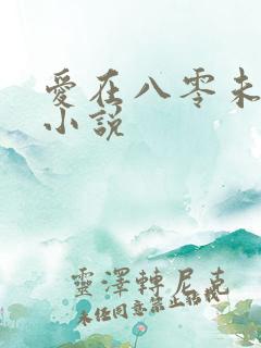 爱在八零未嫁时小说
