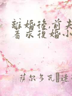 离婚后,前夫哭着求复婚小说全集免费看