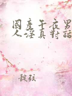 国产午夜男女乱人淫真对话