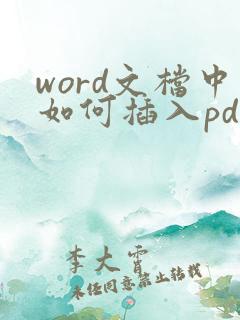 word文档中如何插入pdf文件
