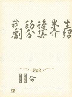 我的后半生电视剧分集介绍