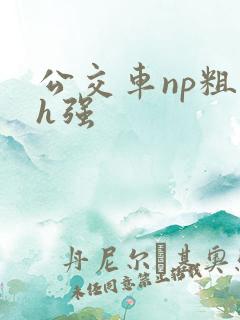 公交车np粗暴h强