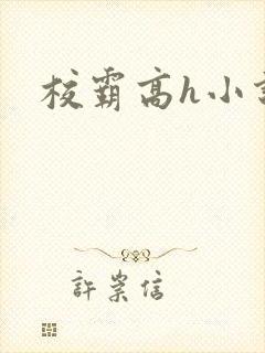 校霸高h小说