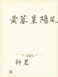 黄蓉襄阳风流史