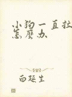 小狗一直拉软便怎么办