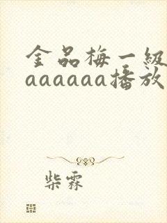 金品梅一级淫片aaaaaa播放