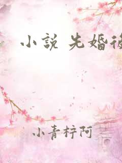 小说 先婚后爱