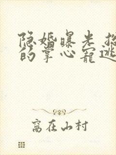 隐婚曝光 总裁的掌心宠逃婚了