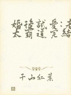 婚后试爱:老公太霸道完结篇