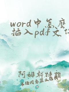 word中怎么插入pdf文件