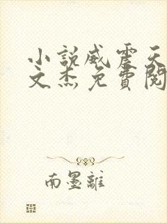 小说威震天下徐文杰免费阅读全文