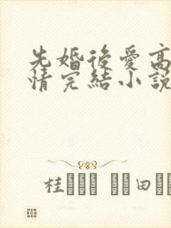 先婚后爱高干言情完结小说