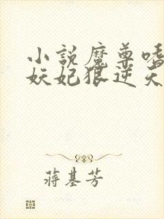 小说魔尊嗜宠:妖妃狠逆天