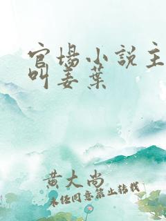 官场小说主人公叫姜叶