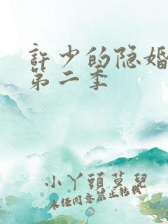 许少的隐婚甜妻第二季