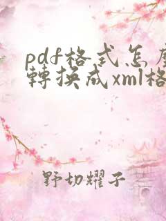 pdf格式怎么转换成xml格式