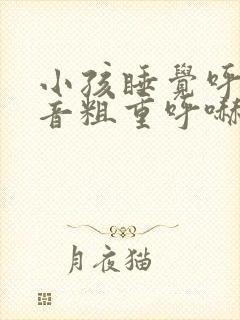 小孩睡觉呼吸声音粗重呼哧呼哧的