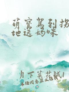 萌宝驾到拐个爹地送妈咪
