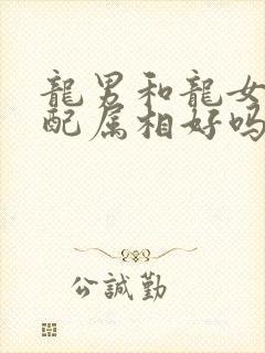 龙男和龙女的婚配属相好吗