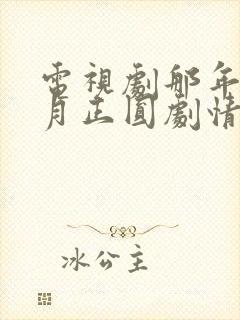 电视剧那年花开月正圆剧情分集介绍