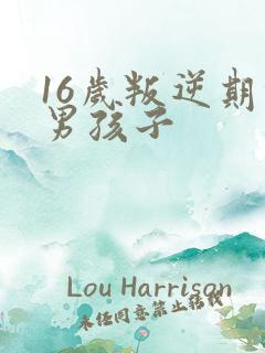 16岁叛逆期的男孩子