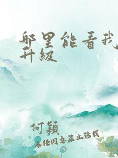 哪里能看我独自升级