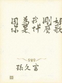 因为我刚好遇见你是什么歌