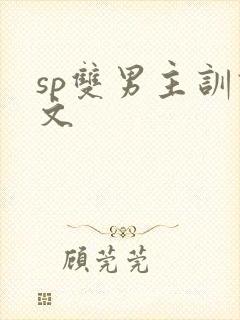 sp双男主训诫文