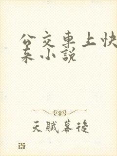 公交车上快插进来小说
