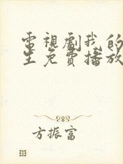 电视剧我的后半生免费播放