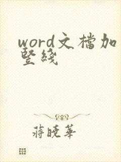 word文档加竖线