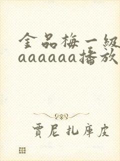 金品梅一级淫片aaaaaa播放