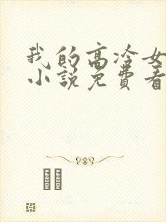 我的高冷女总裁小说免费看