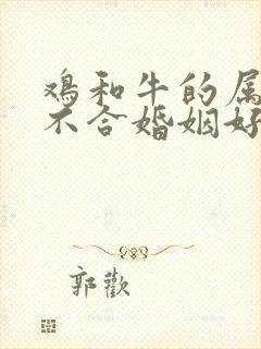 鸡和牛的属相合不合婚姻好吗