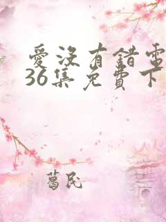 爱没有错电视剧36集免费下载