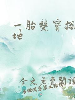 一胎双宝总裁爹地