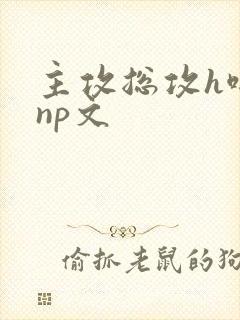主攻总攻h啪肉np文