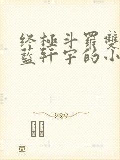 终极斗罗双男主蓝轩宇的小说