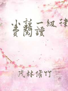 小说一级律师免费阅读