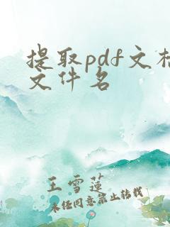 提取pdf文档文件名