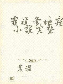 霸道爹地宠又撩 小说完整