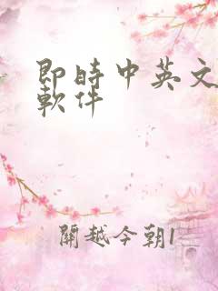即时中英文翻译软件