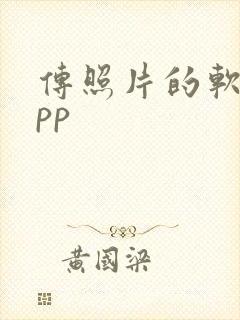 传照片的软件app